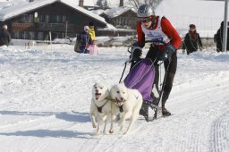 Lenk 2012 SM